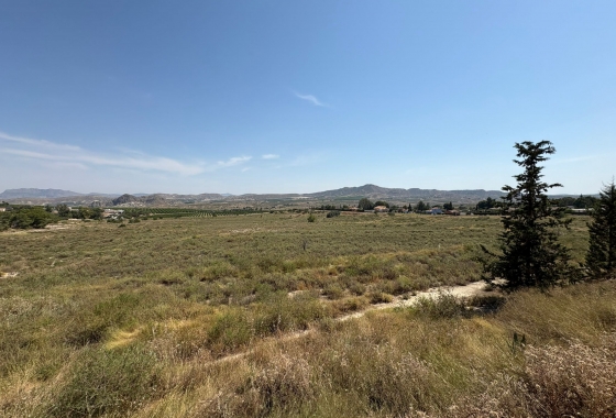 Revente - Villa - Canadas De San Pedro - Inland