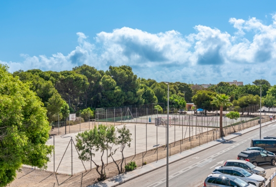 Obra nueva - Villa - Pilar de la Horadada