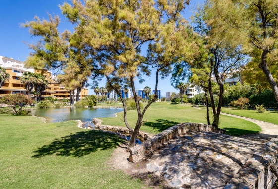 Resale - Apartment / flat - Torrevieja - Punta Prima
