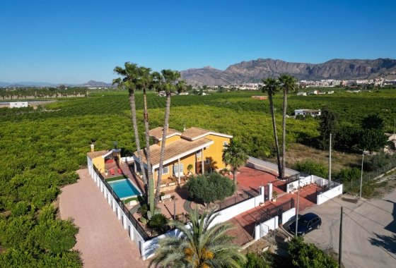 Revente - Finca - Orihuela - Inland