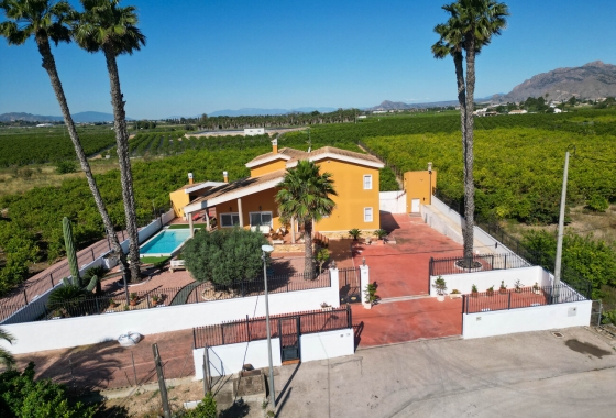 Revente - Finca - Orihuela - Inland