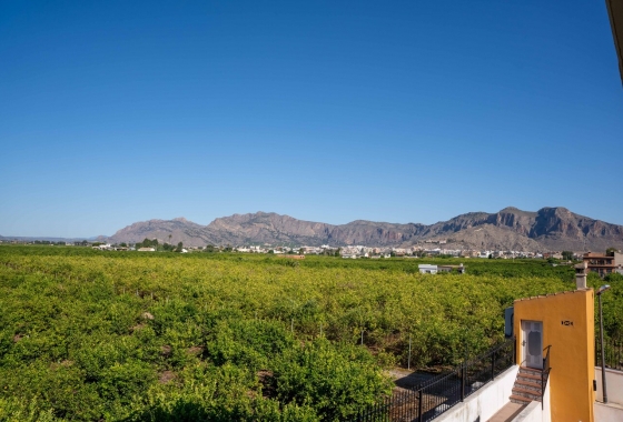 Revente - Finca - Orihuela - Inland