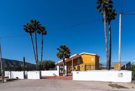 Revente - Finca - Orihuela - Inland