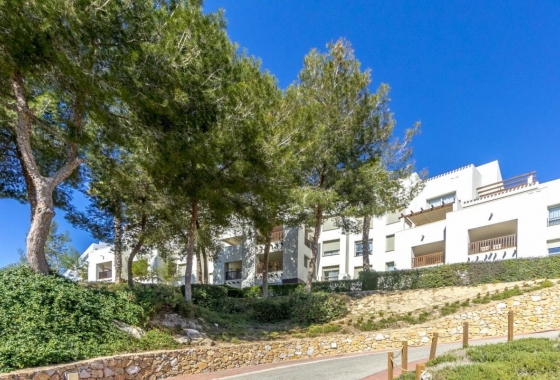 Reventa - Ático - Orihuela Costa - Costa Blanca