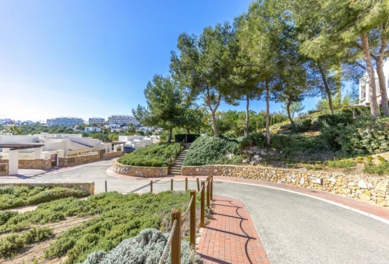 Reventa - Ático - Orihuela Costa - Costa Blanca