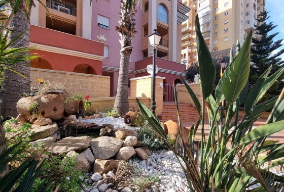Herverkoop - Appartement / flat - Torrevieja - Los Frutales