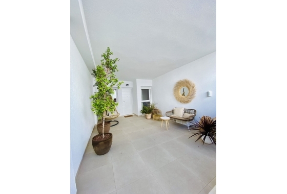 Nouvelle construction - Bungalow - Pilar de la Horadada