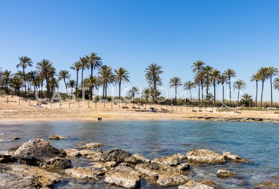 Reventa - Bungalow - Torrevieja - Playa Los Naufragos