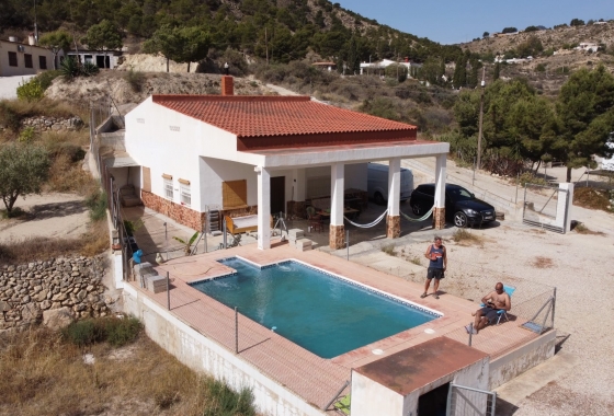 Revente - Finca - Crevillente - Inland
