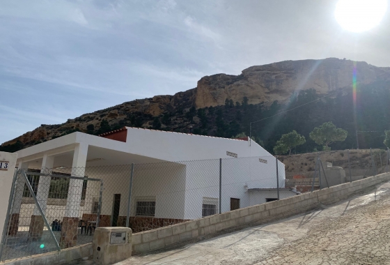 Revente - Finca - Crevillente - Inland