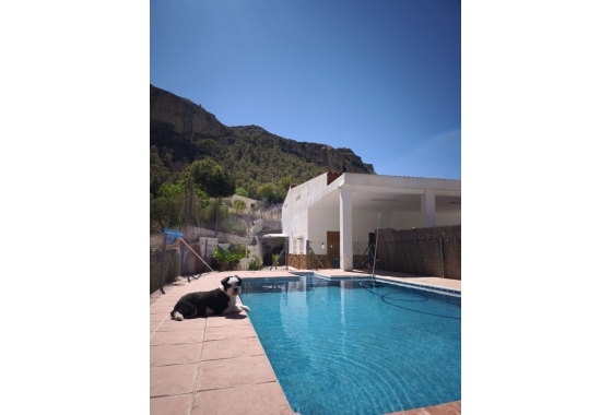 Revente - Finca - Crevillente - Inland