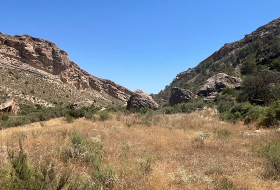 Revente - Finca - Crevillente - Inland