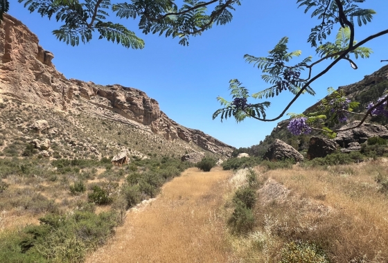 Revente - Finca - Crevillente - Inland