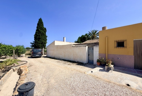 Resale - Finca - La Marina - Costa Blanca