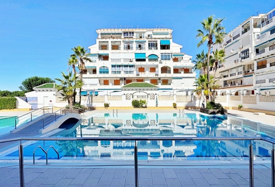 Перепродажа - Квартира - Torrevieja - Costa Blanca