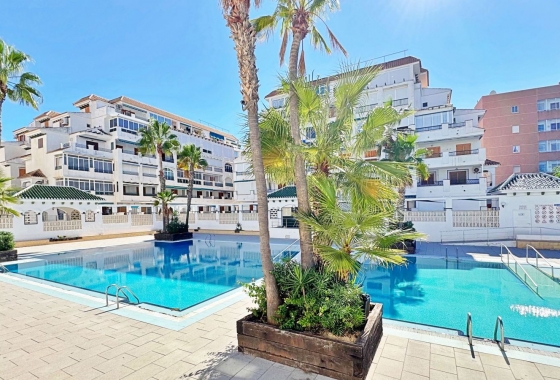 Перепродажа - Квартира - Torrevieja - Costa Blanca
