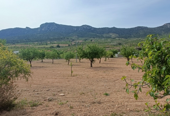 Resale - Villa - La Romana - Inland
