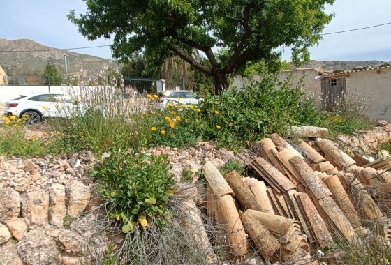 Resale - Villa - La Romana - Inland