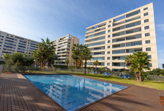 Resale - Penthouse - Torrevieja - Costa Blanca