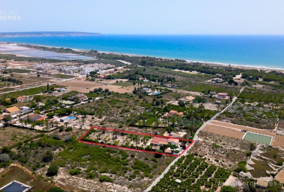 Resale - Finca - La Marina - Costa Blanca