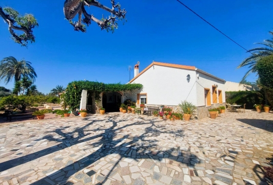 Resale - Finca - La Marina - Costa Blanca