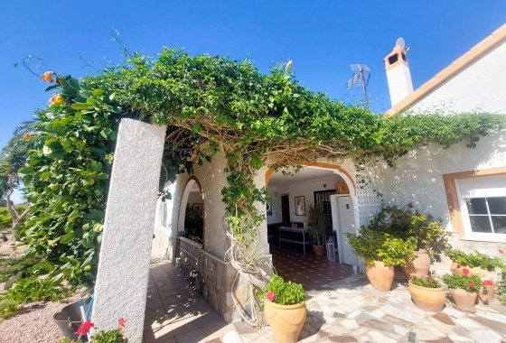 Resale - Finca - La Marina - Costa Blanca