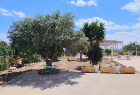 Resale - Villa - Los Montesinos - Costa Blanca