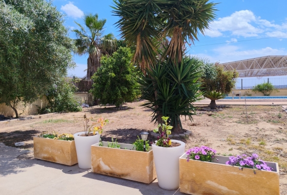 Resale - Villa - Los Montesinos - Costa Blanca