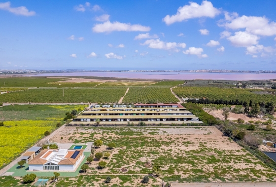 Revente - Villa - Los Montesinos - Costa Blanca
