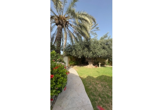 Resale - Villa - Orihuela Costa - Punta Prima