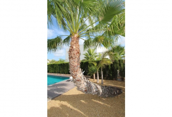 Resale - Villa - Rojales - Inland