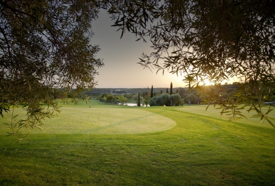 Nouvelle construction - Attique - Orihuela Costa - Lomas de Campoamor