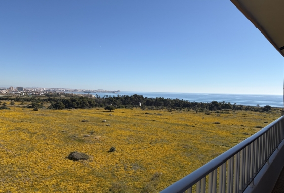 Resale - Penthouse - Torrevieja - Costa Blanca