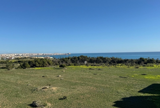 Resale - Penthouse - Torrevieja - Punta Prima