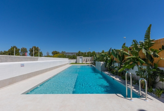 New Build - Bungalow - Dolores - Sector 3