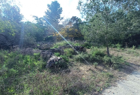 Revente - Finca - Gea Y Truyols - Inland