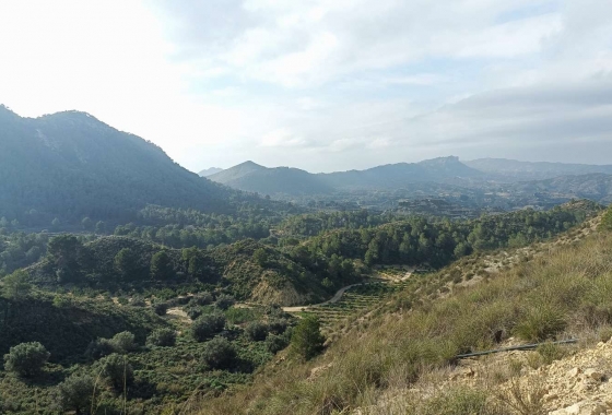 Revente - Finca - Gea Y Truyols - Inland