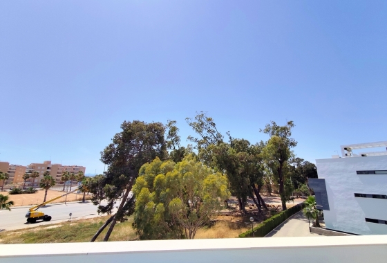 Перепродажа - Пентхаус - Guardamar del Segura - Costa Blanca