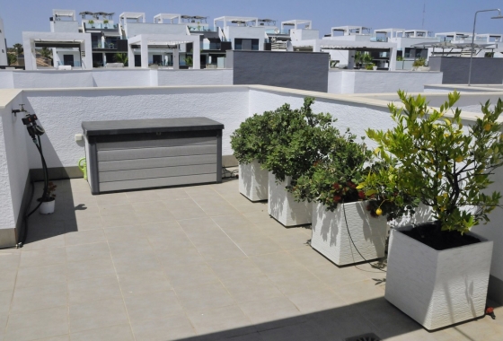 Перепродажа - Пентхаус - Guardamar del Segura - Costa Blanca