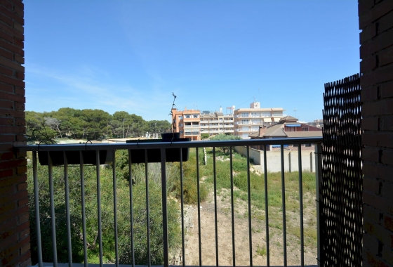 Revente - Appartement - Guardamar del Segura - Costa Blanca