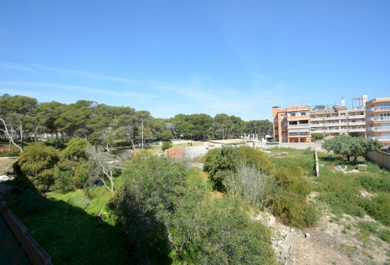 Revente - Appartement - Guardamar del Segura - Costa Blanca