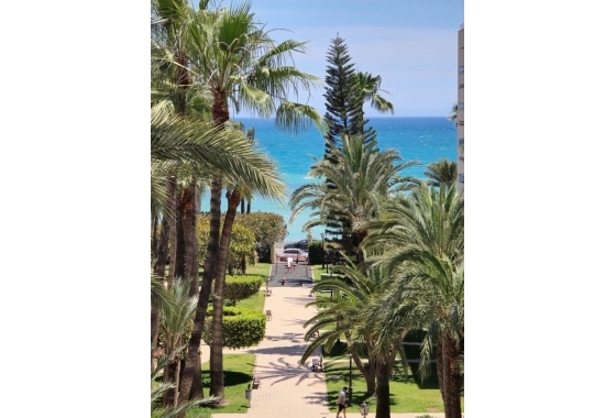 Wiederverkauf - Wohnung - Torrevieja - Los Frutales