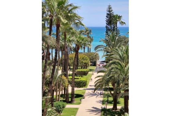 Wiederverkauf - Wohnung - Torrevieja - Los Frutales