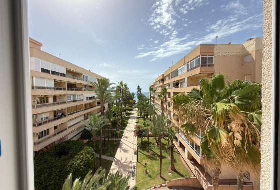 Wiederverkauf - Wohnung - Torrevieja - Los Frutales