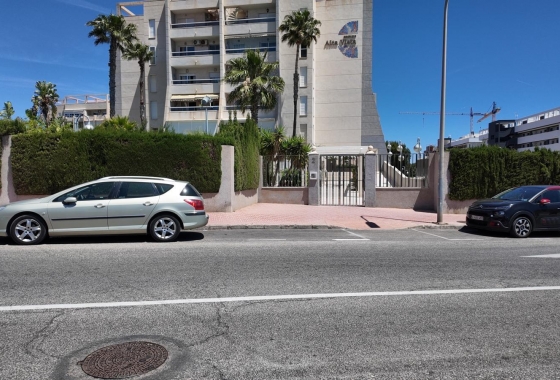 Перепродажа - Пентхаус - Torrevieja - Torreblanca