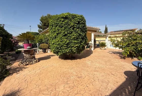 Resale - Villa - Pinar de Campoverde - Inland