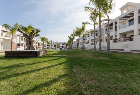 New Build - Bungalow - Torrevieja - Los Balcones