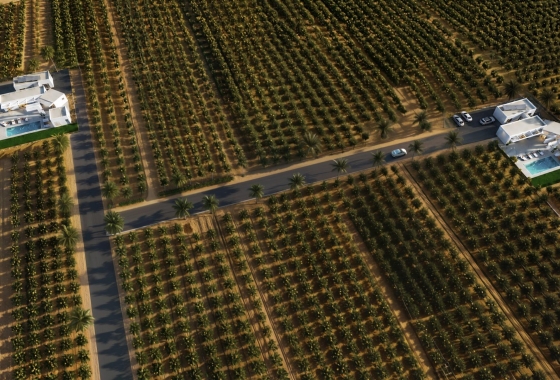 New Build - Villa - Benejúzar - alta