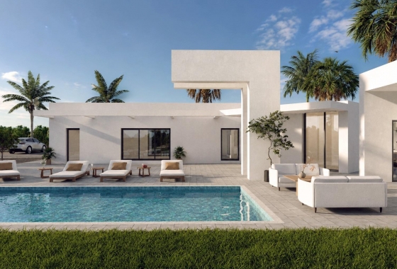 New Build - Villa - Benejúzar - alta