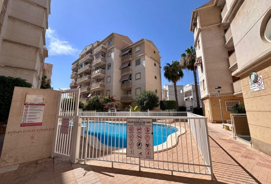 Revente - Appartement - Torrevieja - Habaneras